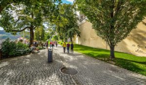 Kde si v Praze odpočinout? Tipy na nejhezčí parky a zahrady
